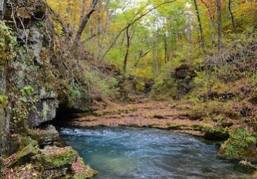 greer springs